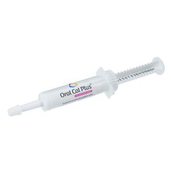 ORAL CAL PLUS