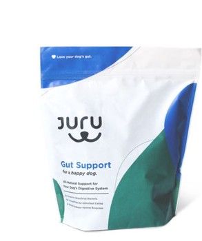 GUT SUPPORT