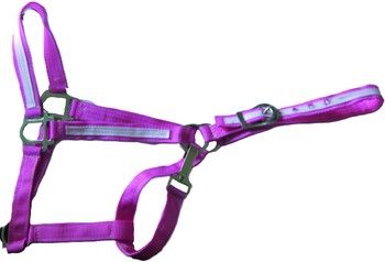 STANDARDBRED HALTER