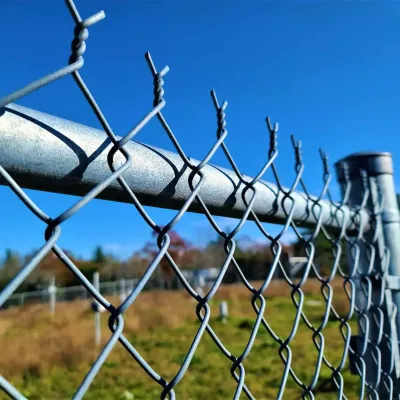 Chain Link