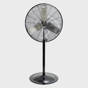 Fans