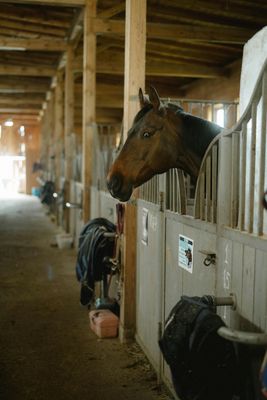 Horse Mats