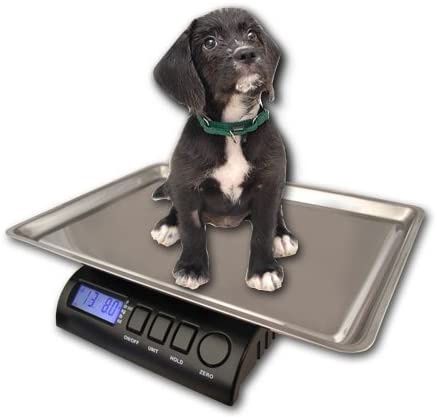PUPPY SCALE