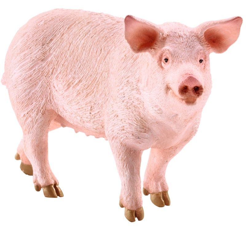 SCHLEICH PIG