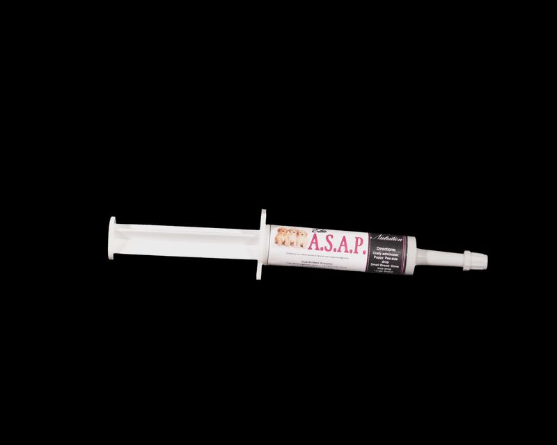 ASAP DOG SINGLE CT