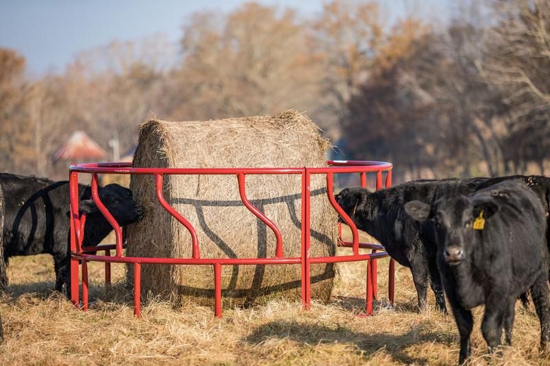 TITAN CATTLE FEEDER