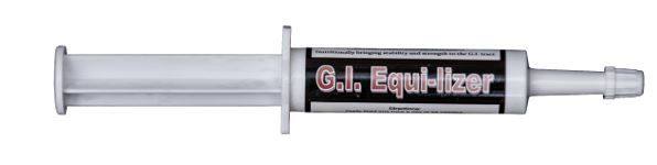 GI EQUILIZER