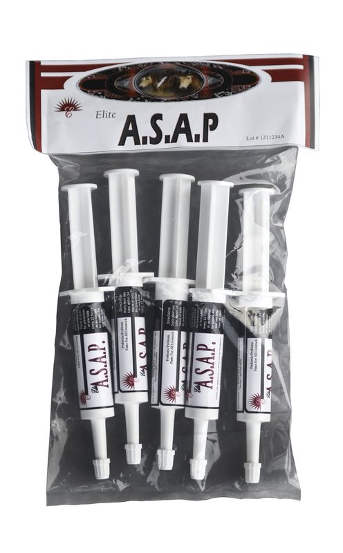 ASAP EQUINE SINGLE CT