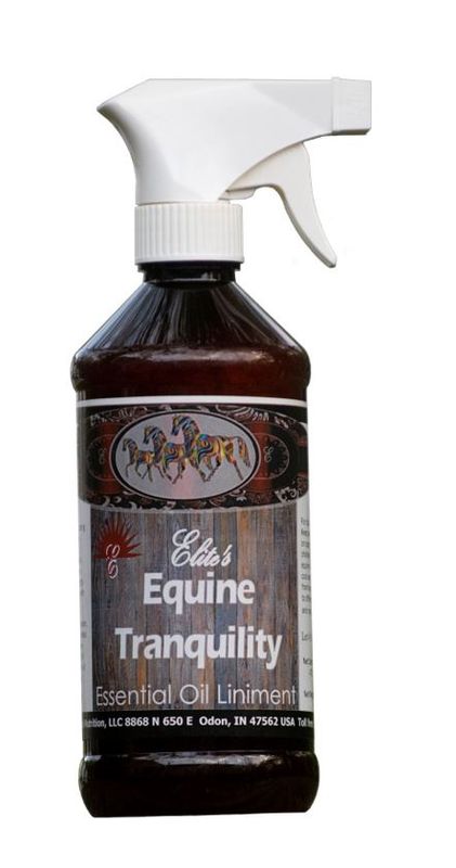 EQUINE TRANQUILITY