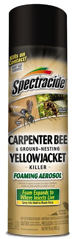 BEE KILLER SPRAY 16 OZ