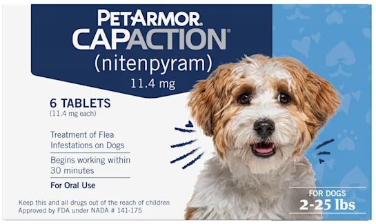 CAPACTION PUPPIES