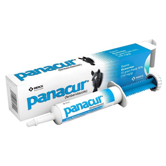 PANACUR HORSE DEWORMER