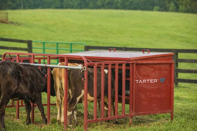 CALF CREEP FEEDER 1000#