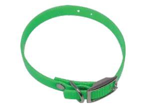 PUPPY COLLAR
