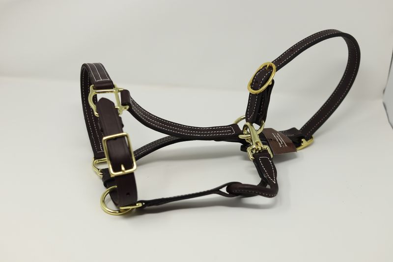 1" BRASS  LEATHER HALTER
