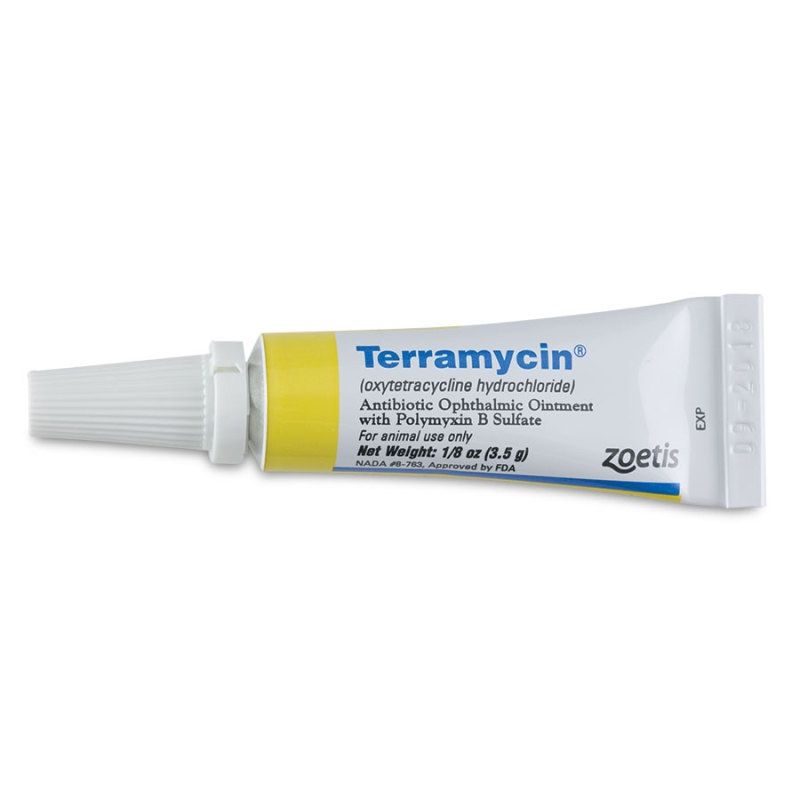 TERRAMYCIN