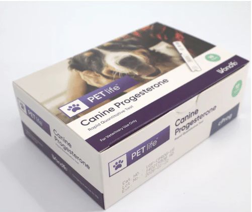 PROGESTERONE TEST KITS