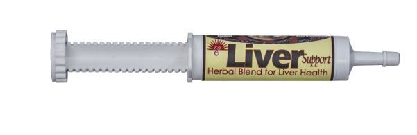 EQUINE LIVER SUPPORT BOX OF 25