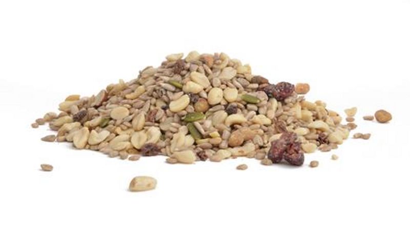 WOODPECKER FAVORITE BIRD FEED