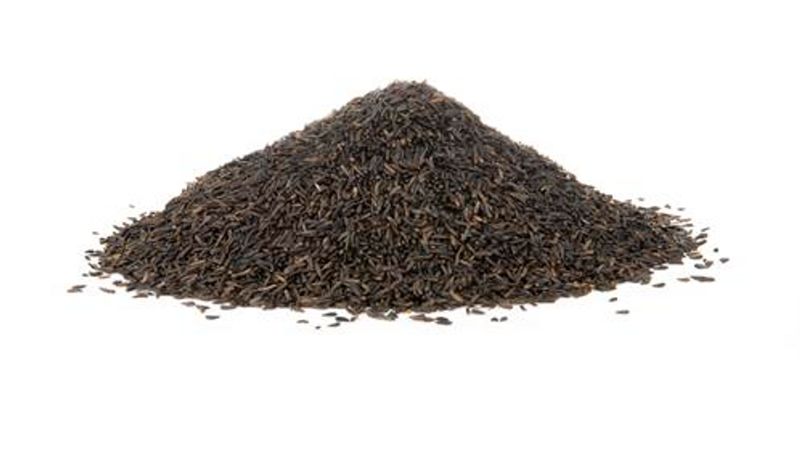 NYJER BIRD FEED