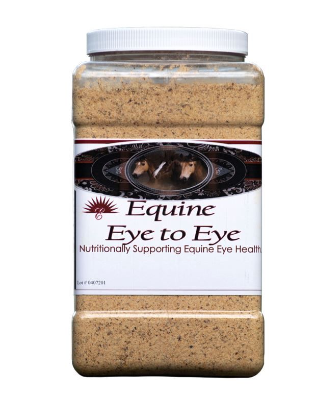 EQUINE EYE TO EYE