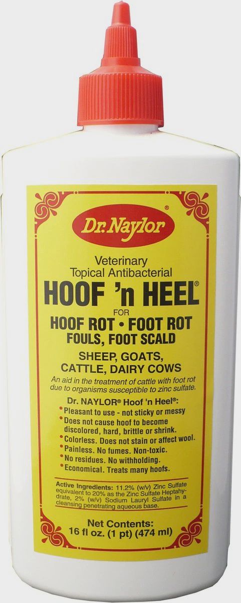 HOOF 'N HEEL