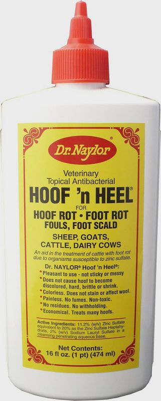 HOOF 'N HEEL