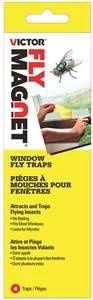 WINDOW FLY TRAP
