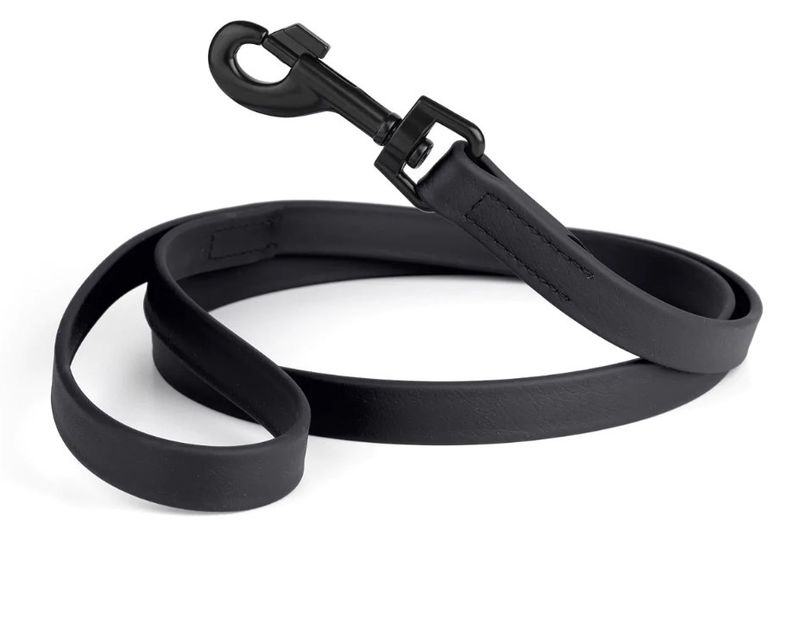 DOGLINE LEASH BIOTHANE