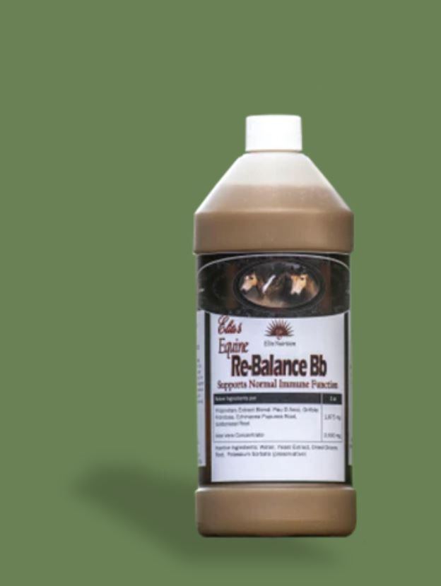 K9 RE-BALANCE BB