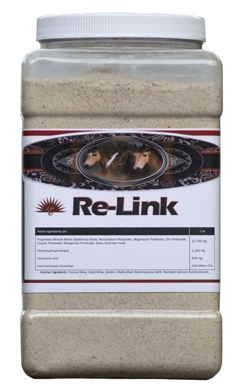 RE-LINK