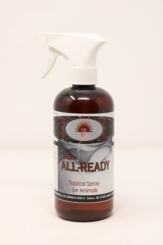 ALL READY - 16OZ