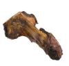 BD ELBOW BONE