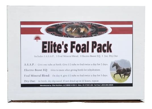 FOAL PACK (FOAL & MARE)