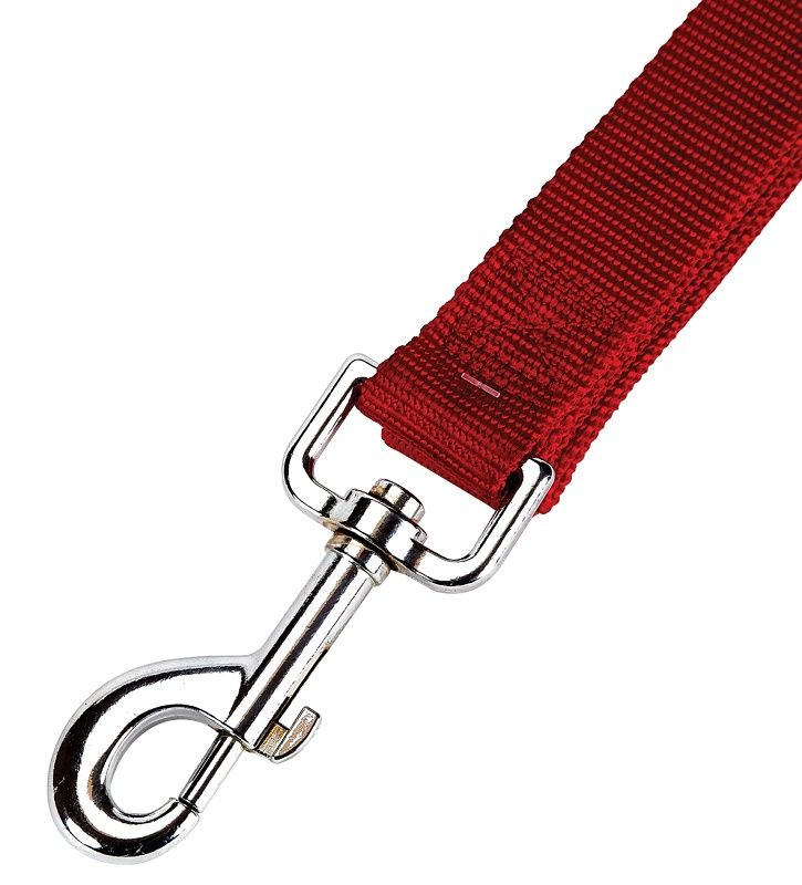 6' X 1" RED NYLON DOG LEASH