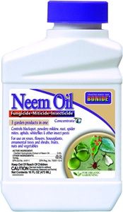 16 OZ NEEM OIL
