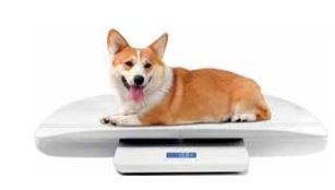DIGITAL PET/BABY SCALE