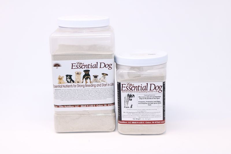 ESSENTIAL DOG