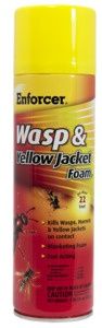 WASP YELLOW JACKT FOAM 16OZ