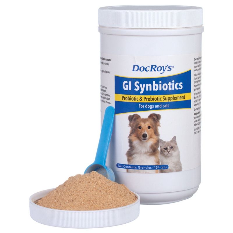 GI SYNBIOTICS