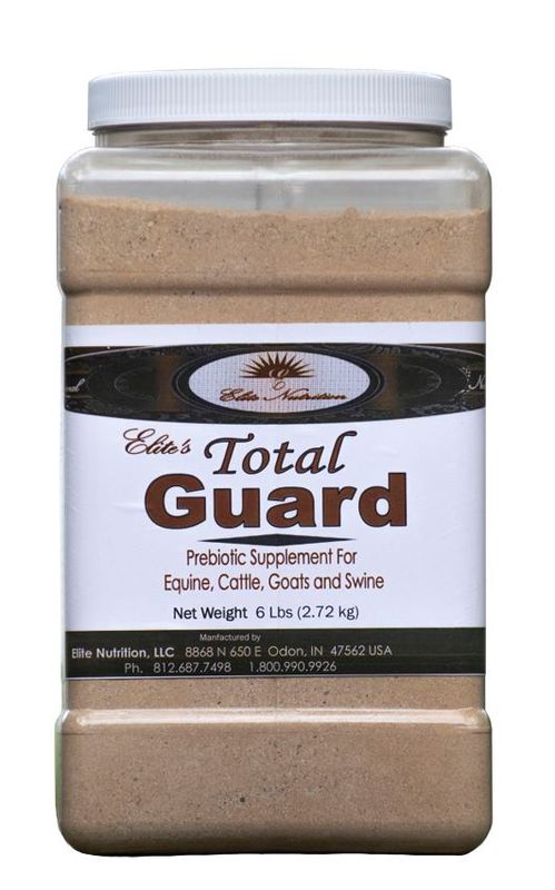 TOTAL GUARD