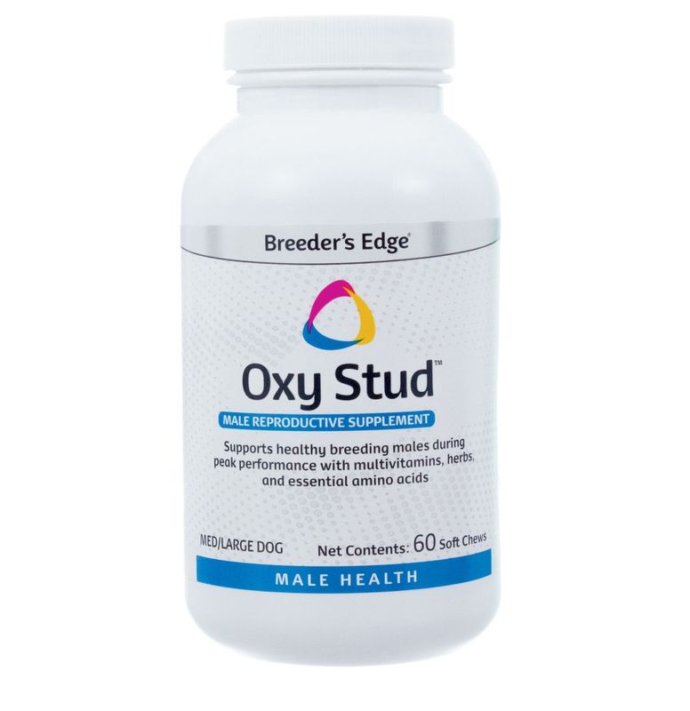 OXY STUD