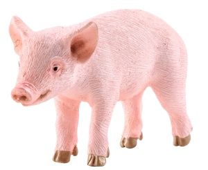 SCHLEICH PIGLET
