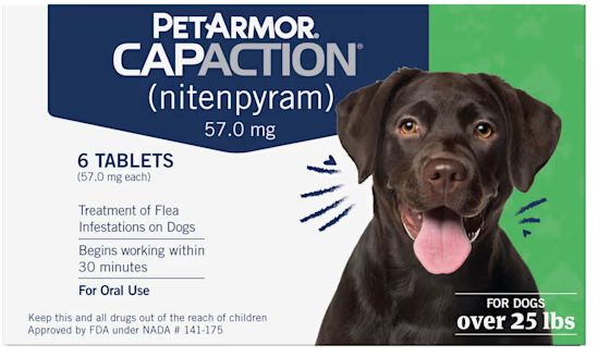 CAPACTION DOGS