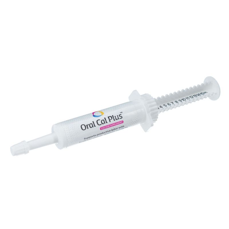 ORAL CAL PLUS