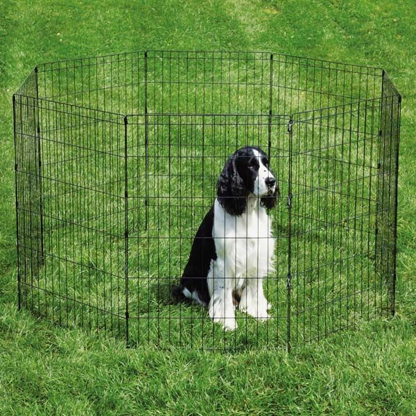 EXERCISE PEN