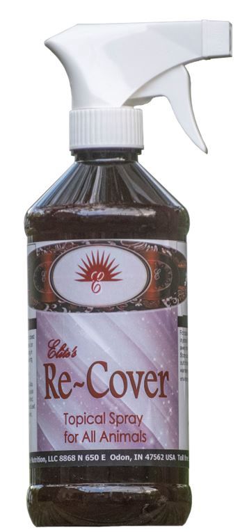 ELITE RE-COVER