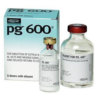 P.G. 600
