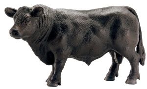 SCHLEICH BLACK ANGUS BULL