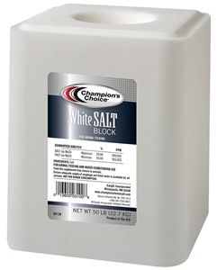 SALT BLOCK
